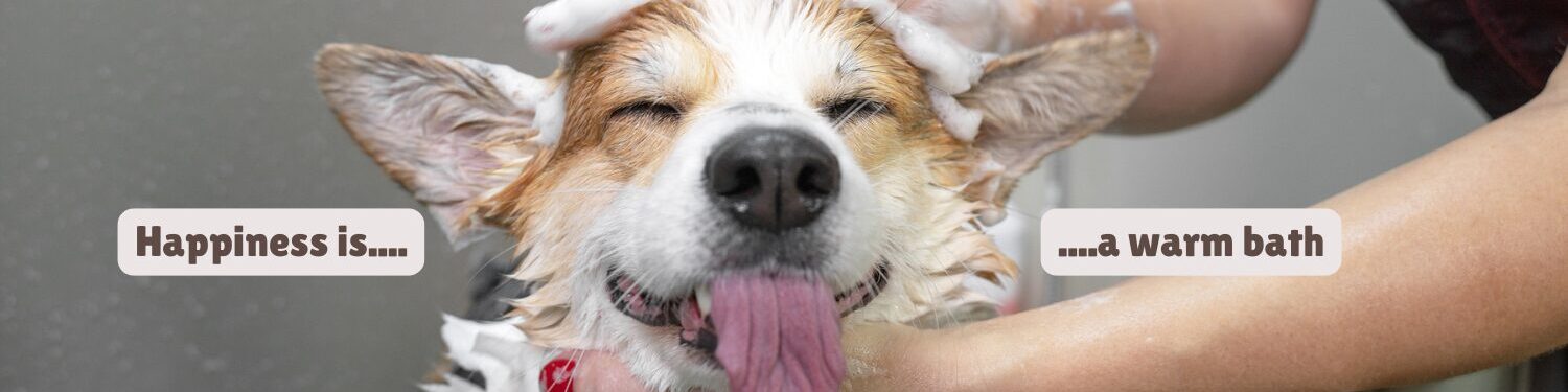 Lakewood, Arvada brush and bath