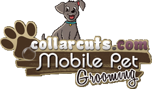 Mobile Dog & Cat Grooming-Brush/Bath and Full service Grooming