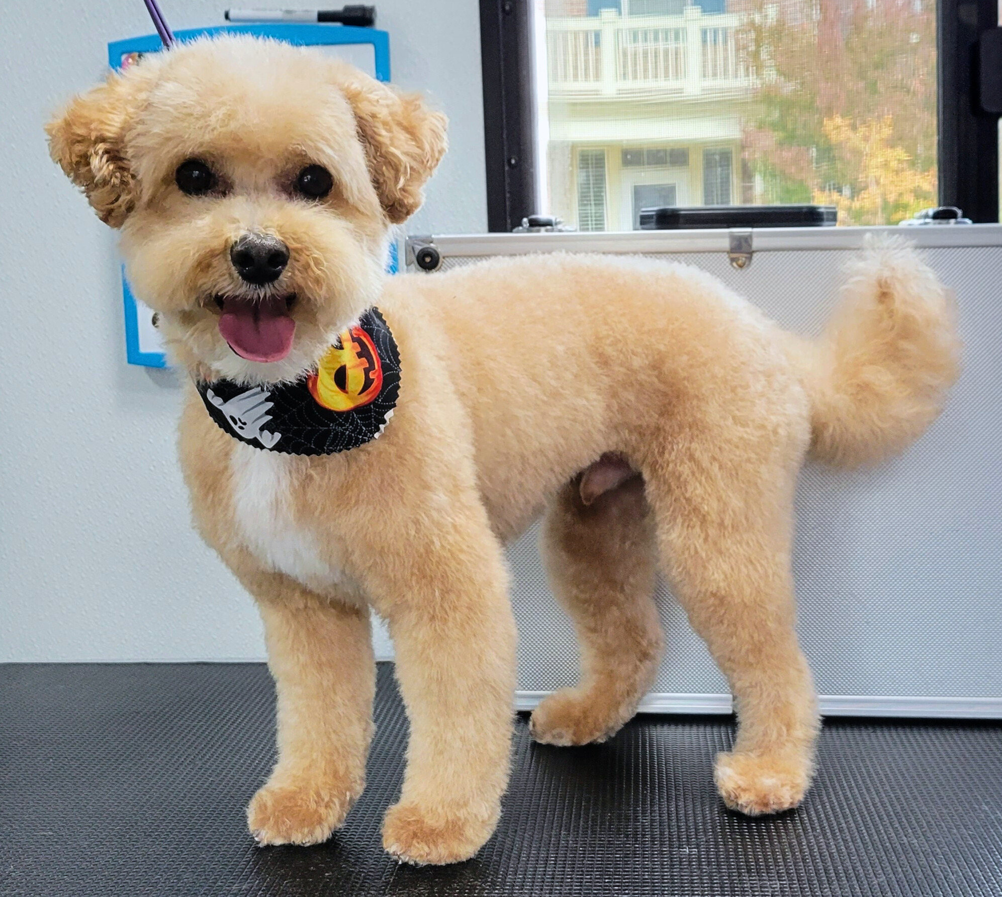 Bodhi-Suzanne Bolton - Edited