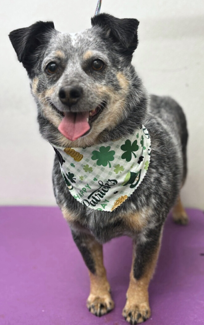 Cama-Brittany Howe - Edited