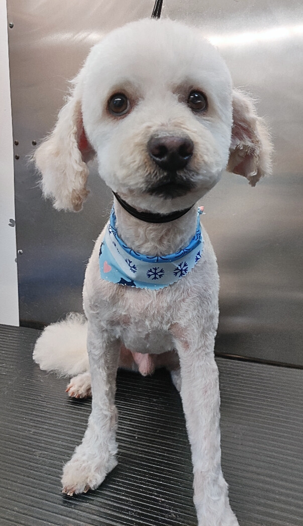 Coki-Melvin Abrego - Edited