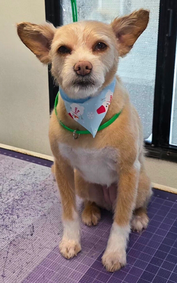 Ellie-Bill & Megan Yost - Edited