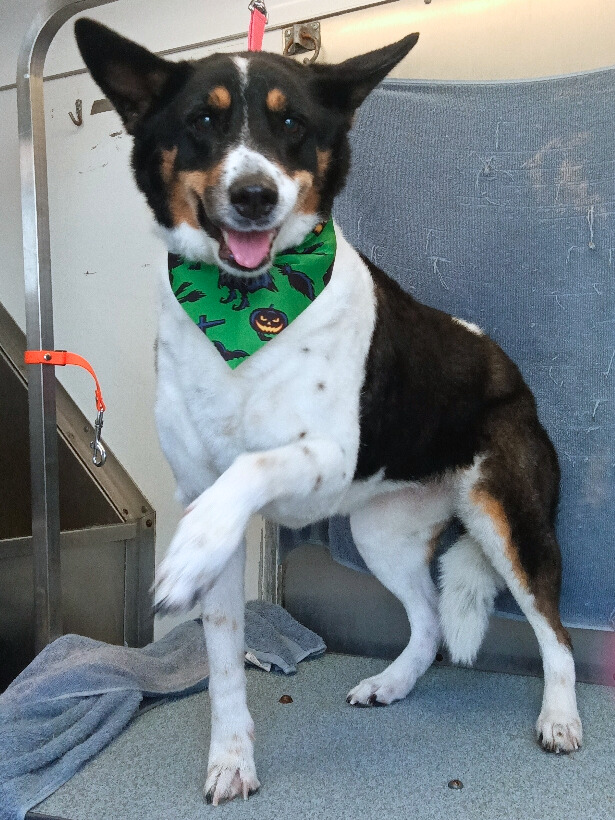 Ellie-Jacob Rice - Edited