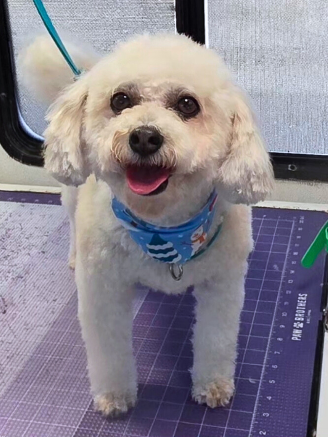 Emmy-Barbara Lager - Edited