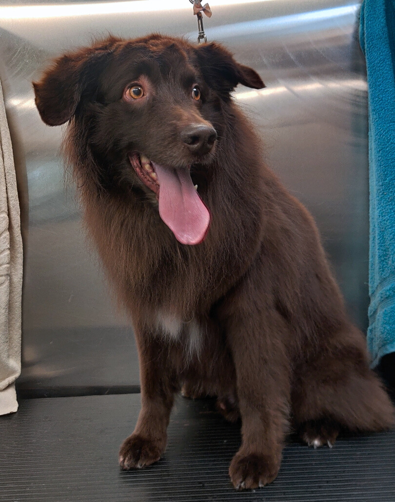 Gimli-Olivia Good - Edited