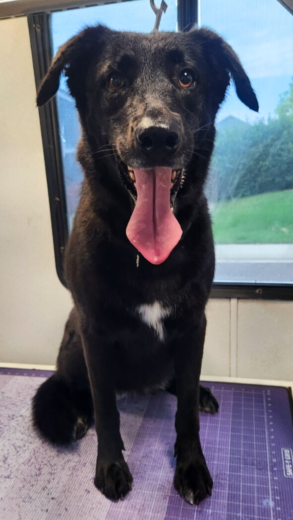 Harley-Katherine Dean - Edited