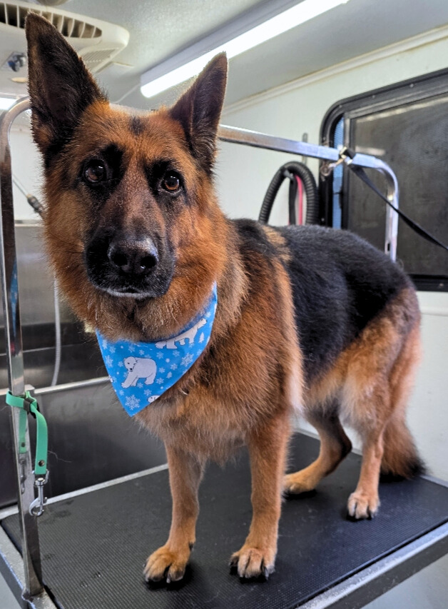 Izzy-Brandon Bench - Edited