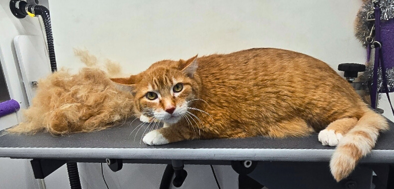 Jax-Sid Bhandari - Edited