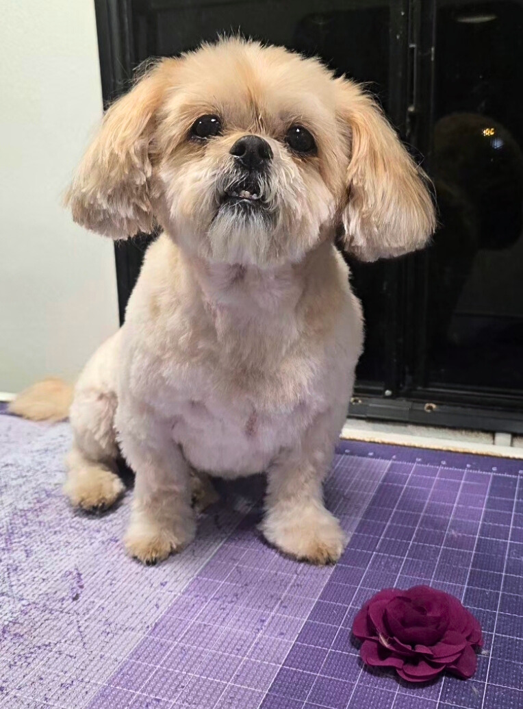 JuJu-Gloria Zimmerman - Edited