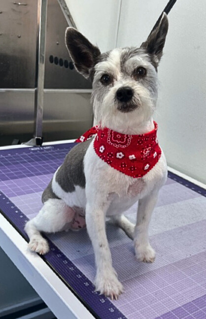 Juanito-Jazmin Antheunisse - Edited