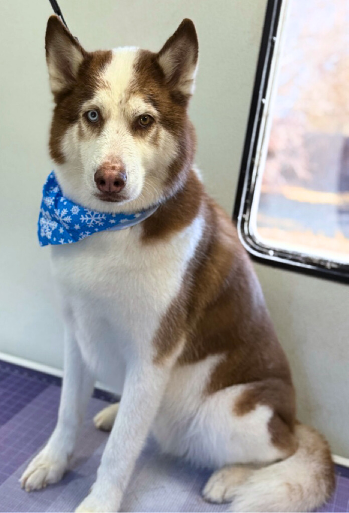 Kavik-Kyle Hufner - Edited