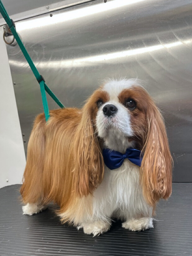 Leland-Mike and Sharon Bailey - Edited