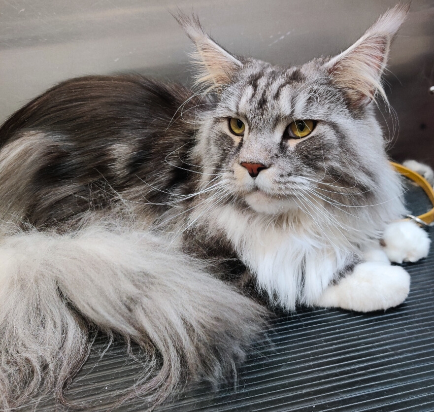 Luci-Jen Reed - Edited