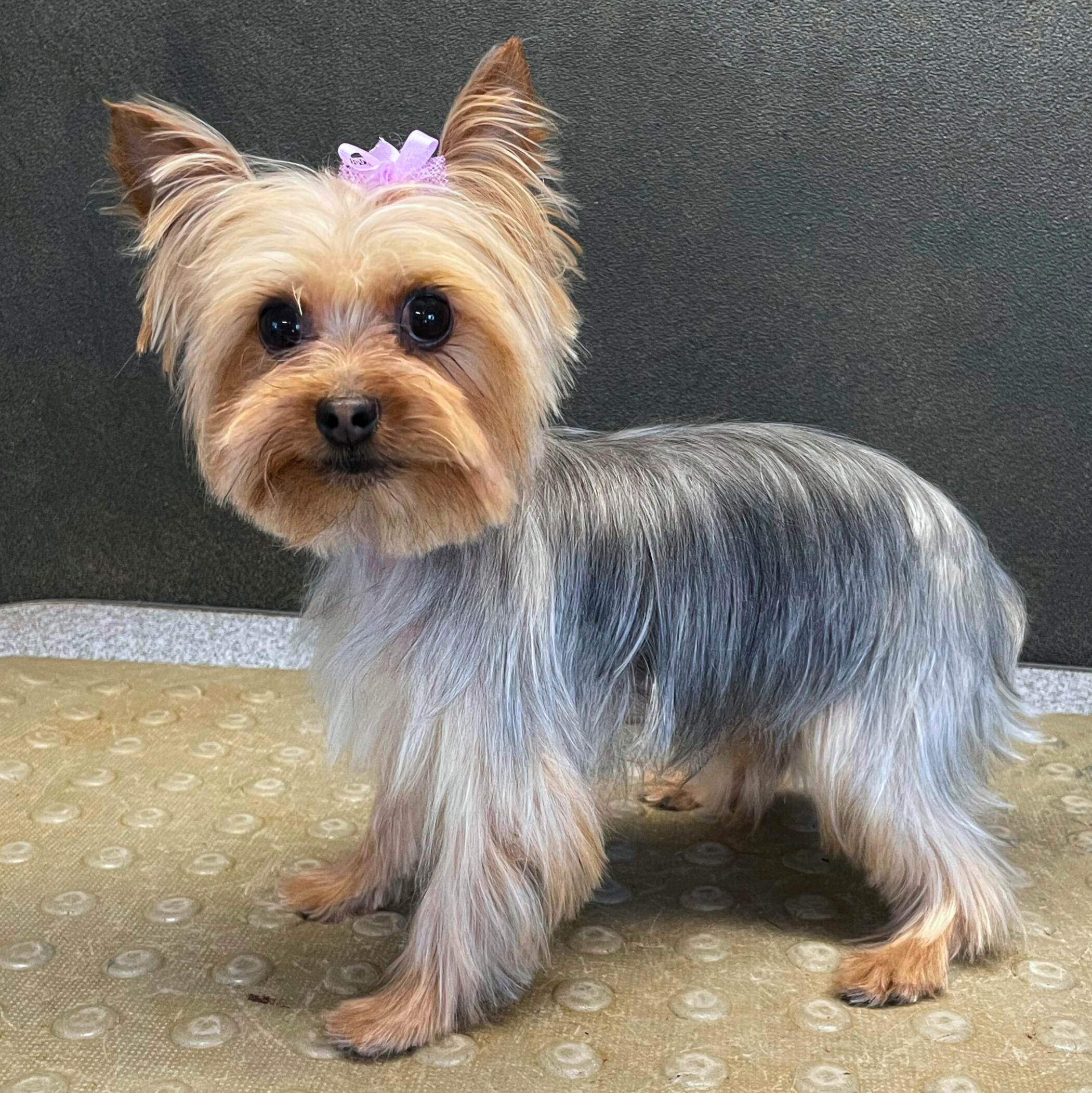 Marley-Stephanie Arellano - Edited