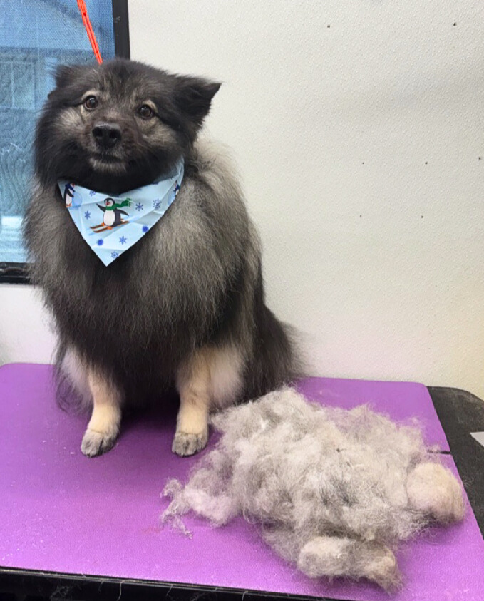 Raza-Brooke Crumly - Edited