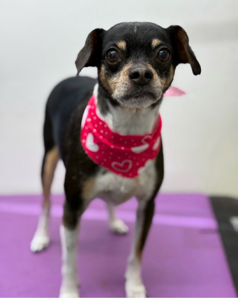 Snickers-Jeanine Steffens - Edited