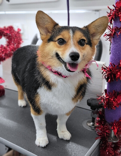 Winnie-Stephanie Brooks - Edited