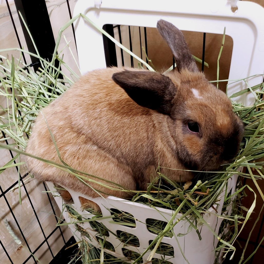 67cdd0e4bcfff3b5fad5489f078deb35