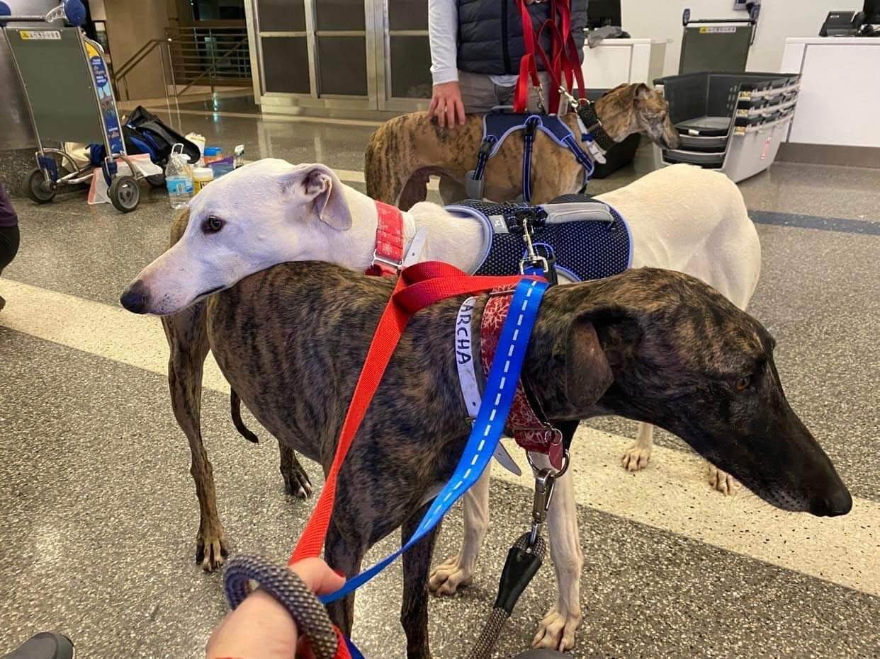 684b7c3d581b01cf84f68c82_IMG_6170