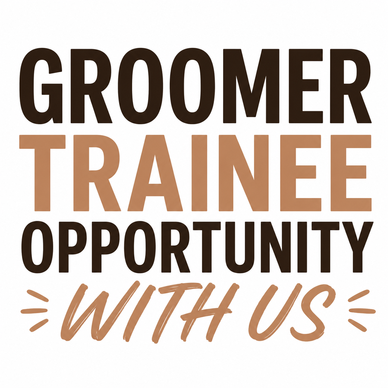 Groomer trainee opportunity with us